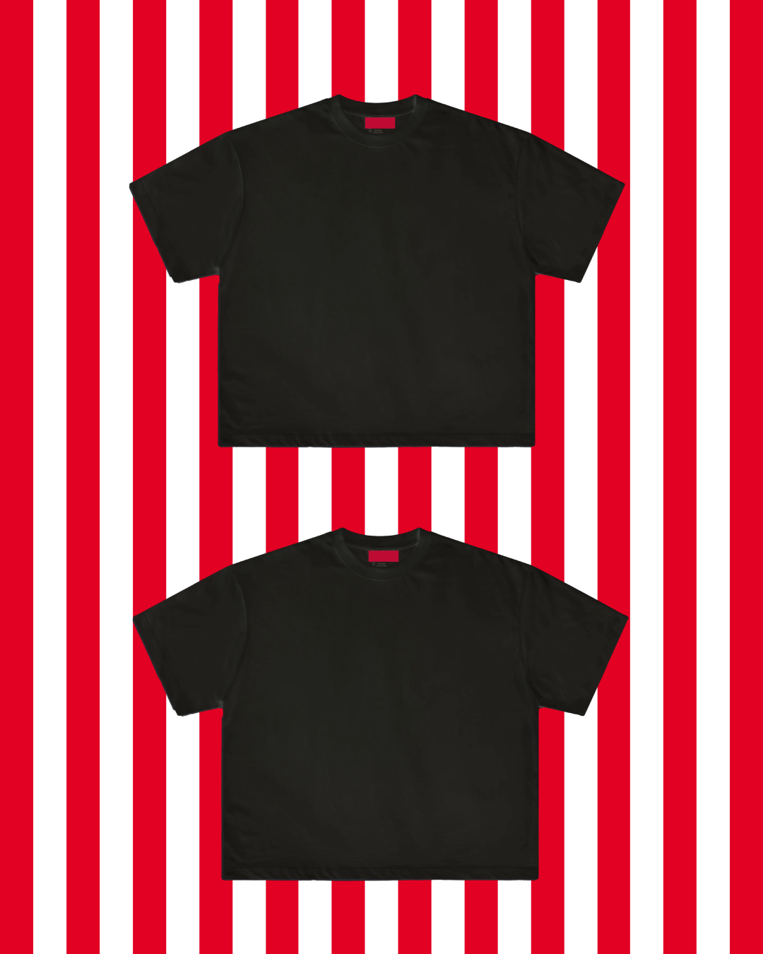 SET OF BLANK TEES (2PCS)